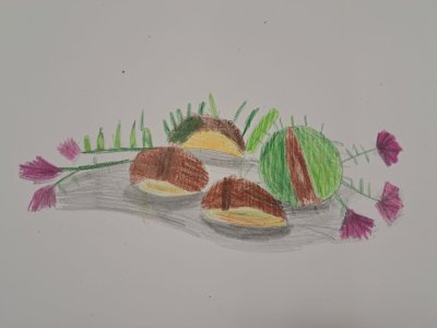 Zajęcia plastyczne 30.09.23